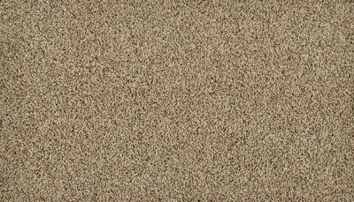 Portico Everstrand High Ground II Flax Seed BP24D-789