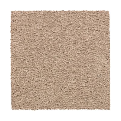 Portico Everstrand Dramatic Feeling Autumn Ash BP25B-748