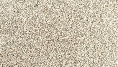 Portico Everstrand Diversified II Elk Beige BP30D-729