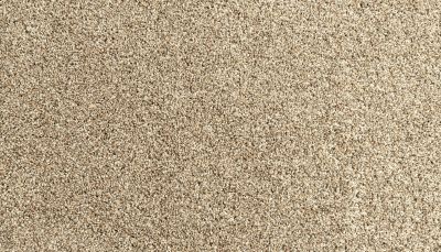 Portico Everstrand Diversified II Flax Seed BP30D-789