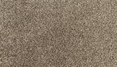 Portico Everstrand Diversified II Shimmer Ash BP30D-879