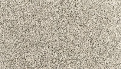 Portico Everstrand Diversified II Silver Dollar BP30D-938
