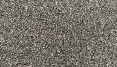 Portico Everstrand Diversified II Steelbeam BP30D-969