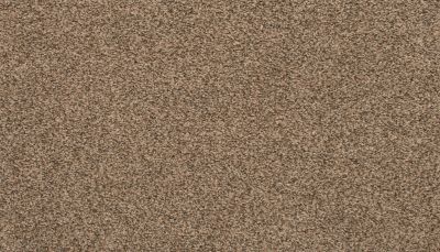 Portico Everstrand Rejuvenate Flax Seed BP55C-789