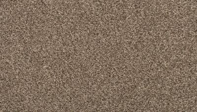 Portico Everstrand Rejuvenate Shimmer Ash BP55C-879