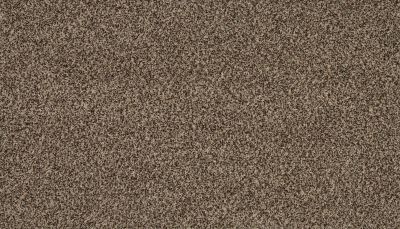 Portico Everstrand Revitalizing Salutation BP66C-882