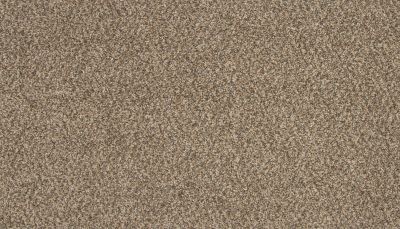 Portico Everstrand Revitalizing Intrigue BP66C-892