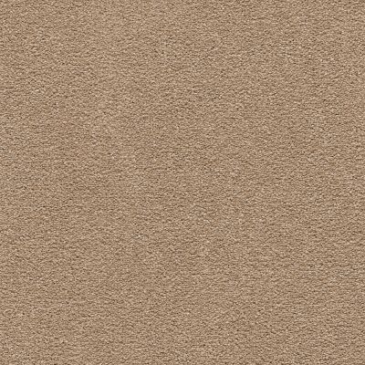 Portico Smartstrand Calming Focus II Spiced Tea BP75C-864