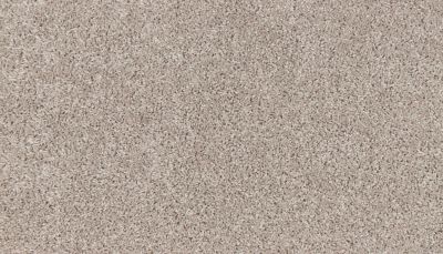 Portico Smartstrand Bold Appeal Plus Portrait BP77C-739