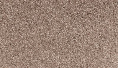 Portico Smartstrand Bold Appeal Plus Tiberius BP77C-858