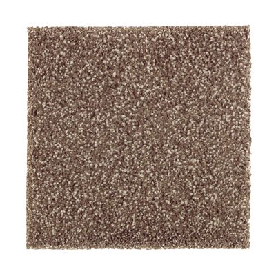 Portico Smartstrand Silk Lansing Terrace Dried Peat BP81A-524