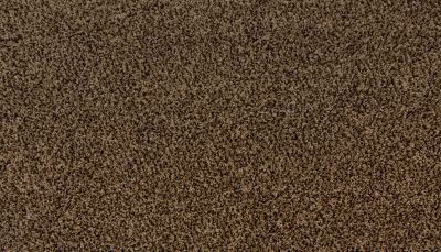 Portico Everstrand High Card Mocha Brown BP84C-866