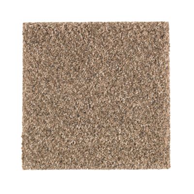 Portico Smartstrand Rockport Shores Autumn Brown BP85A-572