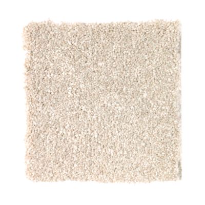 Portico Smartstrand Stylish Approach Homespun BP90A-718