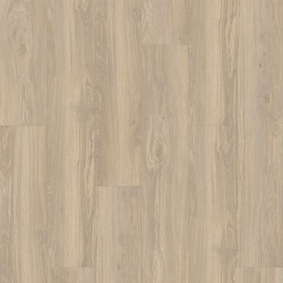 Aladdin Commercial Assimilate Rustic CE001-C03