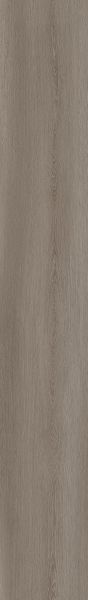 Aladdin Commercial Aspiring Beauty Birch Wood CE009-C02