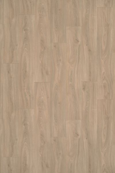 IVC Curated Space Saltbox DCS70-554