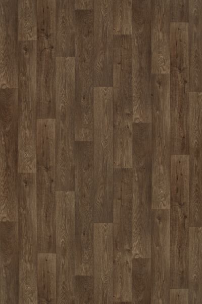 IVC Curated Space Nutmeg DCS70-588