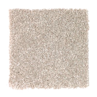 Mohawk Smartstrand Polished Shades I Cypress ED01-807