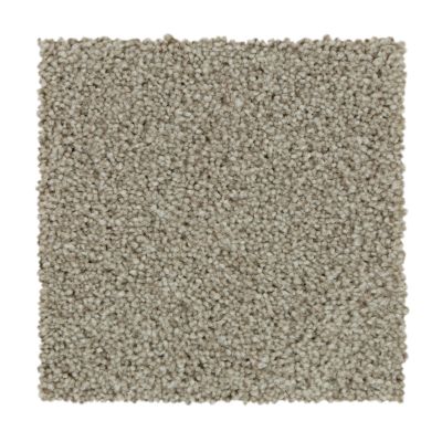 Mohawk Smartstrand Polished Shades II Cypress ED02-807