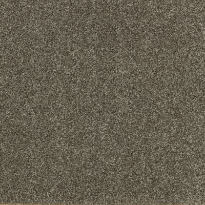 Godfrey Hirst Smartstrand Industrial Tones Walnut Frost G2157-0820