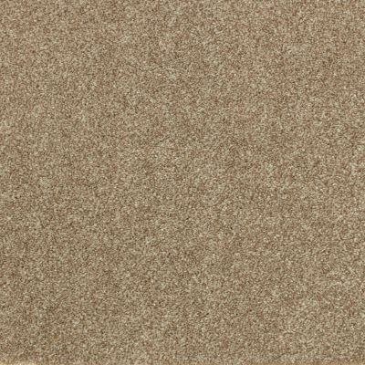 Godfrey Hirst Smartstrand Industrial Tones Timberline G2157-0828