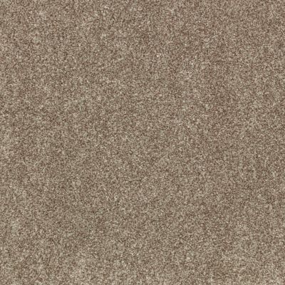 Godfrey Hirst Smartstrand Industrial Tones Hearthstone G2157-0834