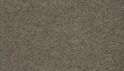 Godfrey Hirst Everlux Classic Taste Rustic Taupe G2180-0829