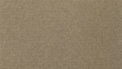 Godfrey Hirst Wool Canyon Ridge II Birch G2183-0540