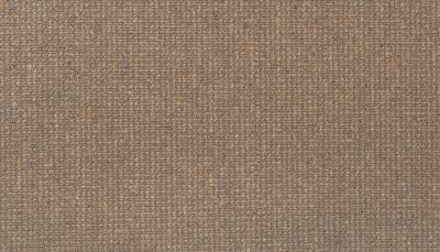 Godfrey Hirst Wool Brookhaven III Tahiti G2187-0170