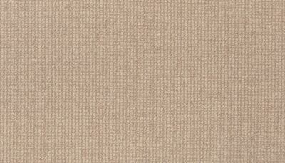 Godfrey Hirst Wool Brookhaven III Cobblestone G2187-0550