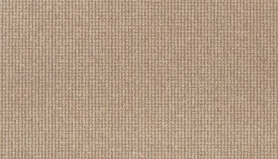 Godfrey Hirst Wool Brookhaven III Stonewall G2187-0580