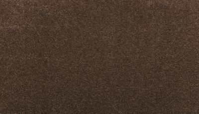 Godfrey Hirst Smartstrand Silk Luxurious Hues Espresso G2208-870