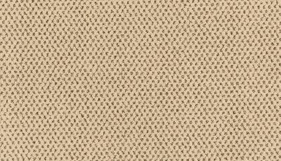 Godfrey Hirst Smartstrand Timeless Effects Vista G2214-0811