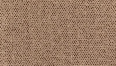 Godfrey Hirst Smartstrand Timeless Effects Carling G2214-0843