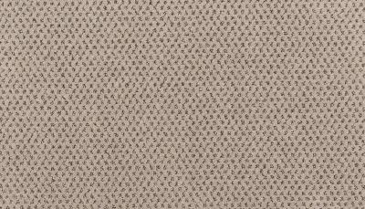 Godfrey Hirst Smartstrand Timeless Effects Zest G2214-0933