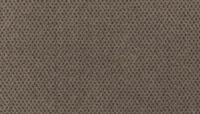 Godfrey Hirst Smartstrand Timeless Effects Enduring G2214-0953