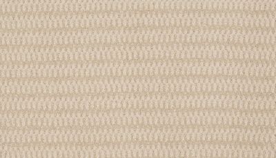 Godfrey Hirst Smartstrand Aftereffects Navajo G2216-0801