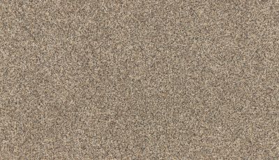 Godfrey Hirst Smartstrand Novel Flair Acacia G2218-0740