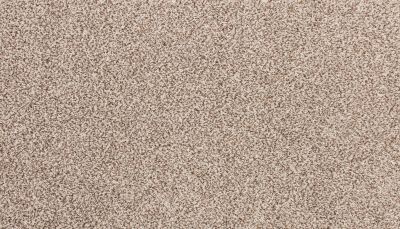 Godfrey Hirst Smartstrand Nelson Bay Burbong G2232-0953