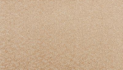 Godfrey Hirst Smartstrand Silk Sublime Style Prestige G2233-0743