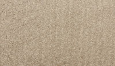 Godfrey Hirst Smartstrand Silk Sublime Style Splendor G2233-0821