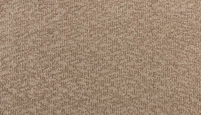 Godfrey Hirst Smartstrand Silk Sublime Style Sophistication G2233-0854