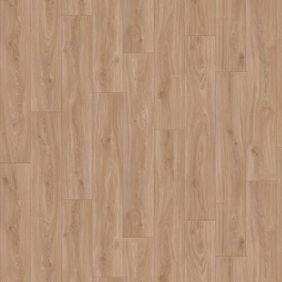 IVC Flexitec Candor Highland Ashes JR003-V32