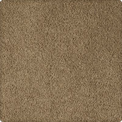 Karastan Smartstrand Silk Soft Excellence Tinderbox K8903-9834