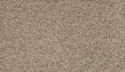 Karastan Vivid Awakening Stonington Beige K8908-9735