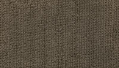 Karastan Smartstrand Ageless Glamour Brownstone K8950-9859