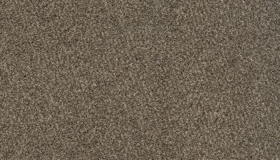 Karastan Smartstrand Delightful Statement Woodland K8966-9825