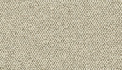 Karastan Kashmere Pleasant Shift Desert Sand K8982-9768