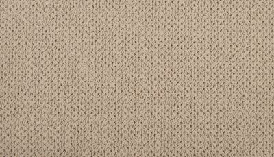 Karastan Smartstrand Kinetic Detail Beeswax K9008-9721